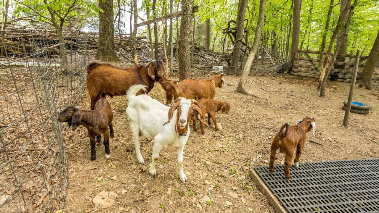 Photo of Others in Bel Air