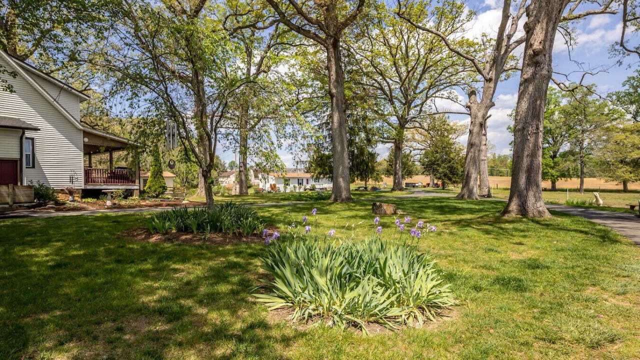 Photo of Outdoor in Bel Air