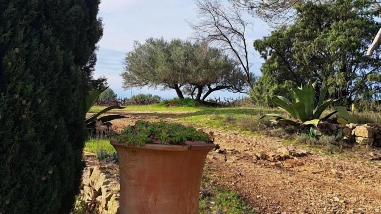 Photo of Others in Montfort-sur-Argens