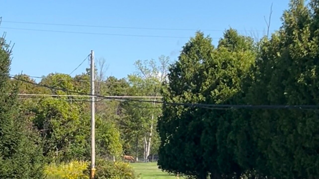 Photo of Others in Town of Scriba