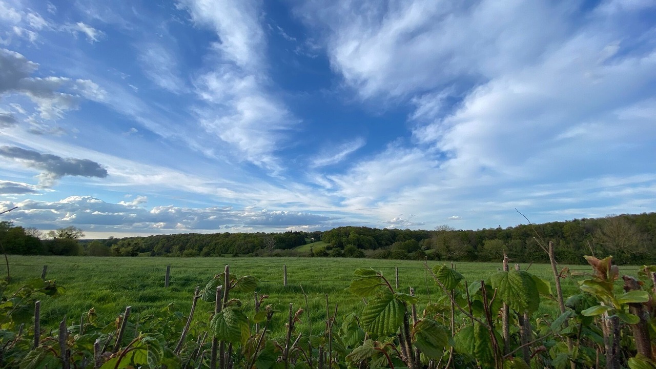 Photo of Others in Livarot-Pays-d'Auge