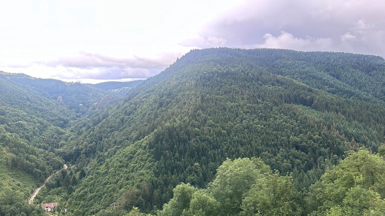 Photo of Others in Rochetaillee