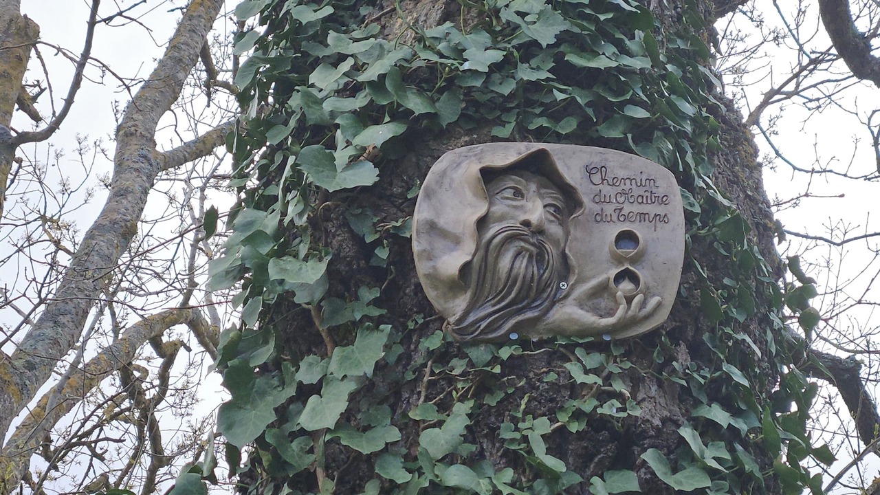 Photo of Outdoor in Touget