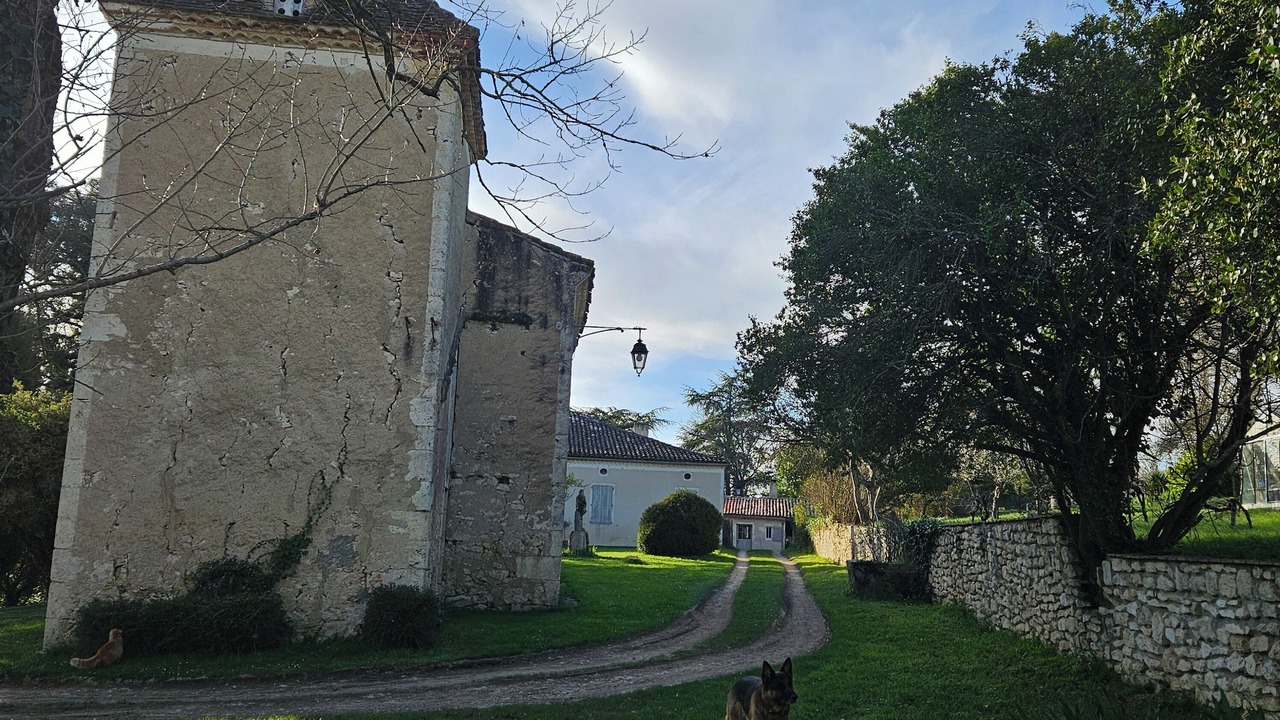 Photo of Outdoor in Touget