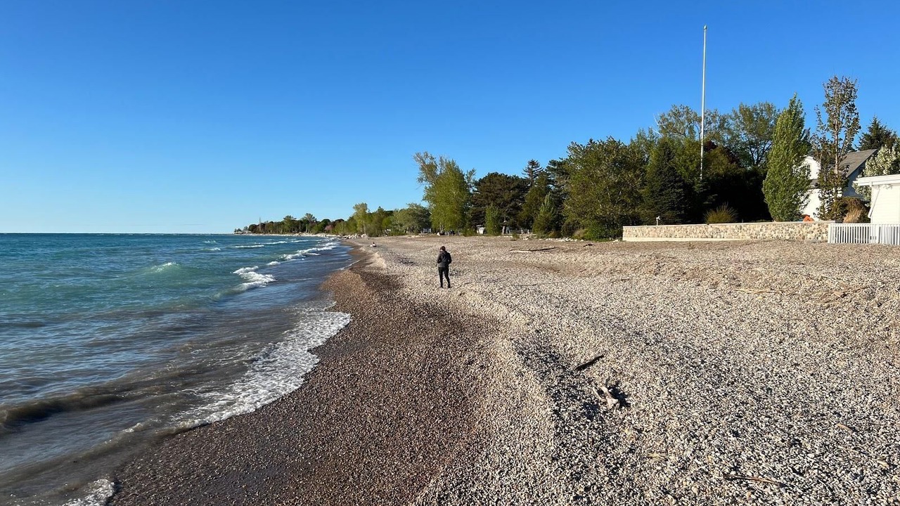 Photo of Others in Point Clark