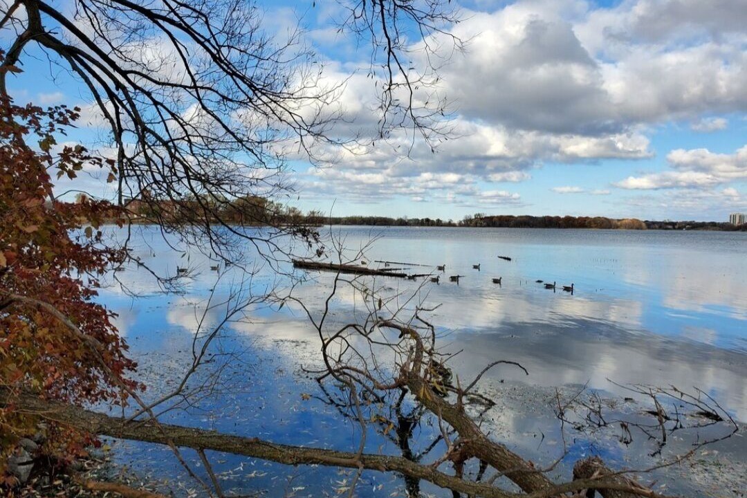 Photo of Others in Rideau Lakes