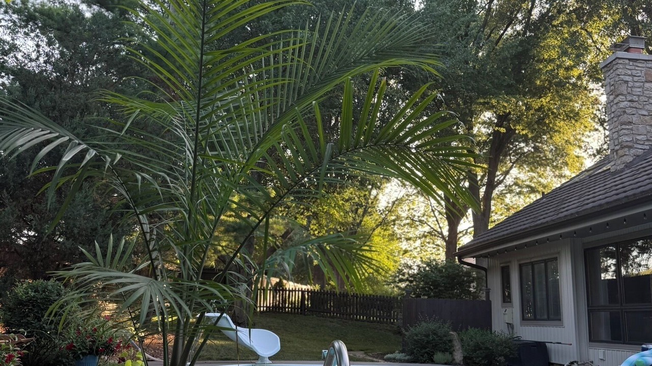 Photo of Outdoor in Overland Park