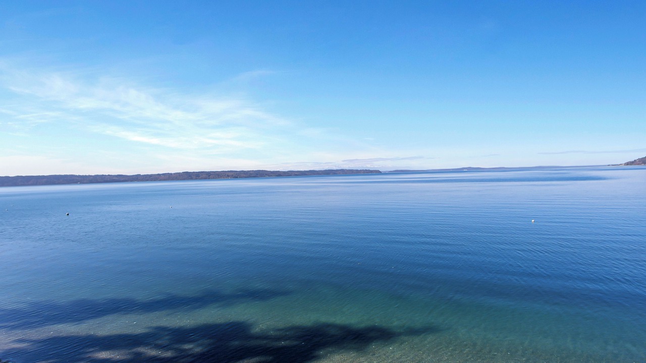 Photo of Others in Three Tree Point
