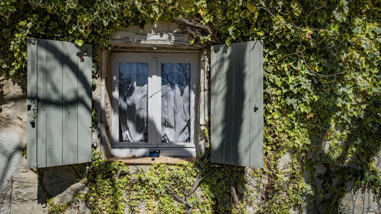 Photo of Others in Montcuq