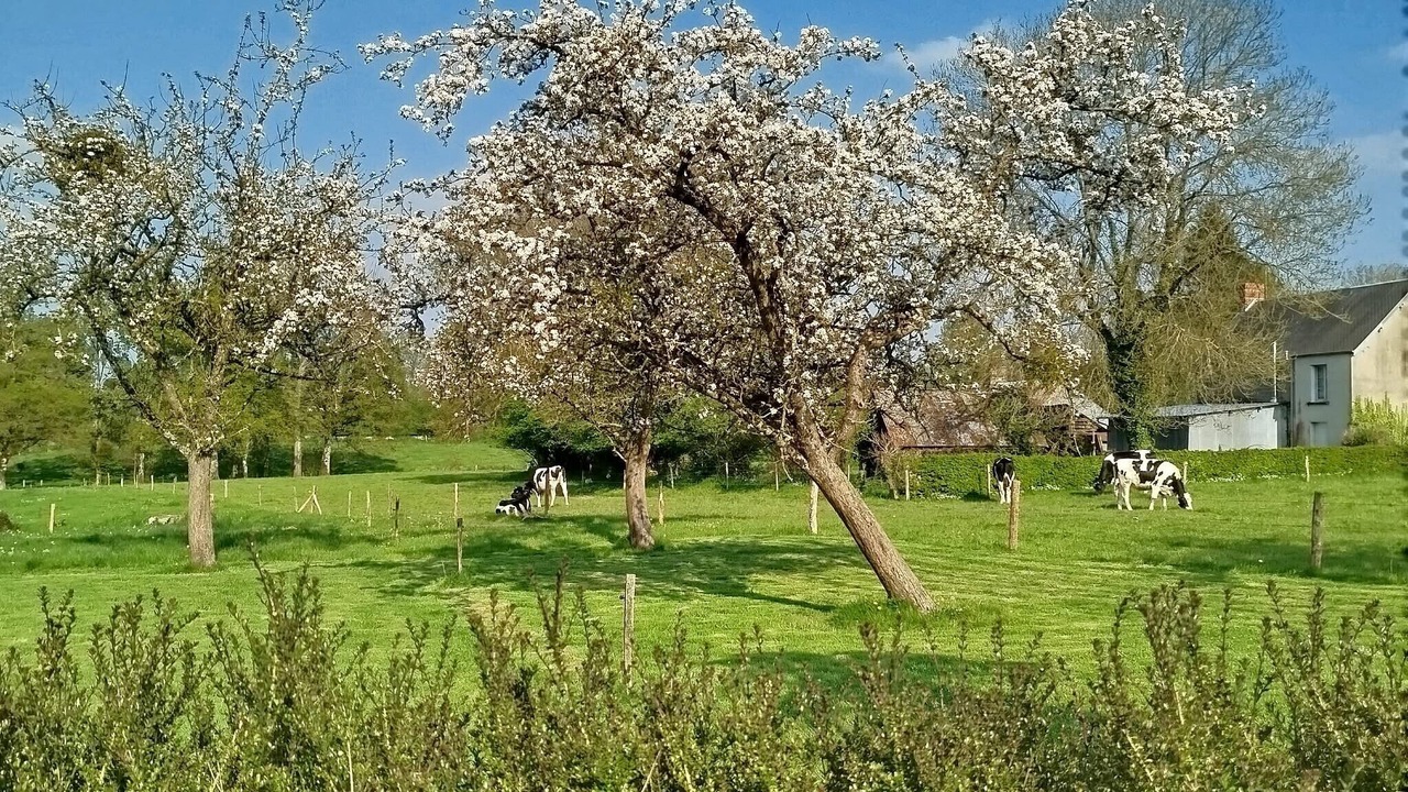 Photo of Others in Saint-Aubin-des-Bois