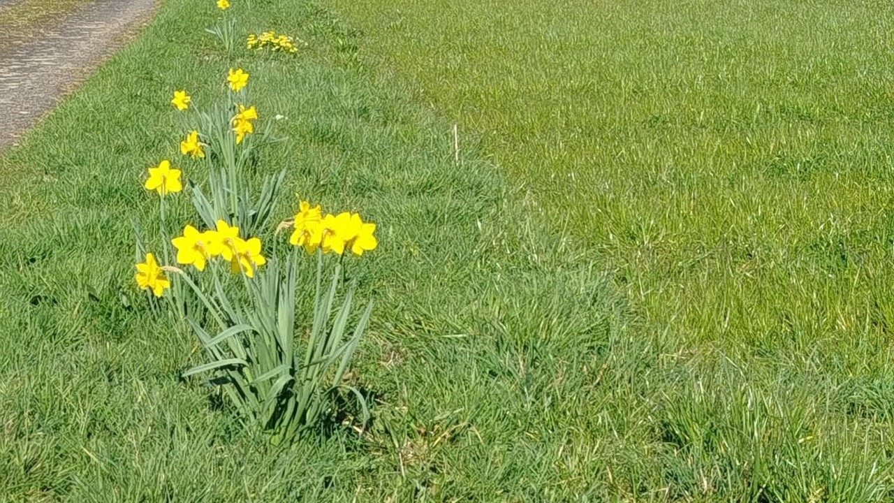 Photo of Outdoor in Saint-Aubin-des-Bois