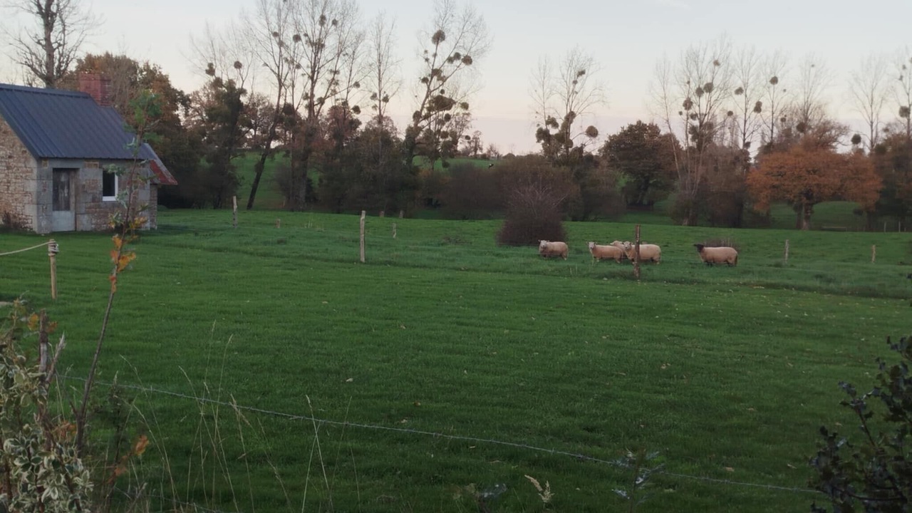 Photo of Others in Saint-Aubin-des-Bois