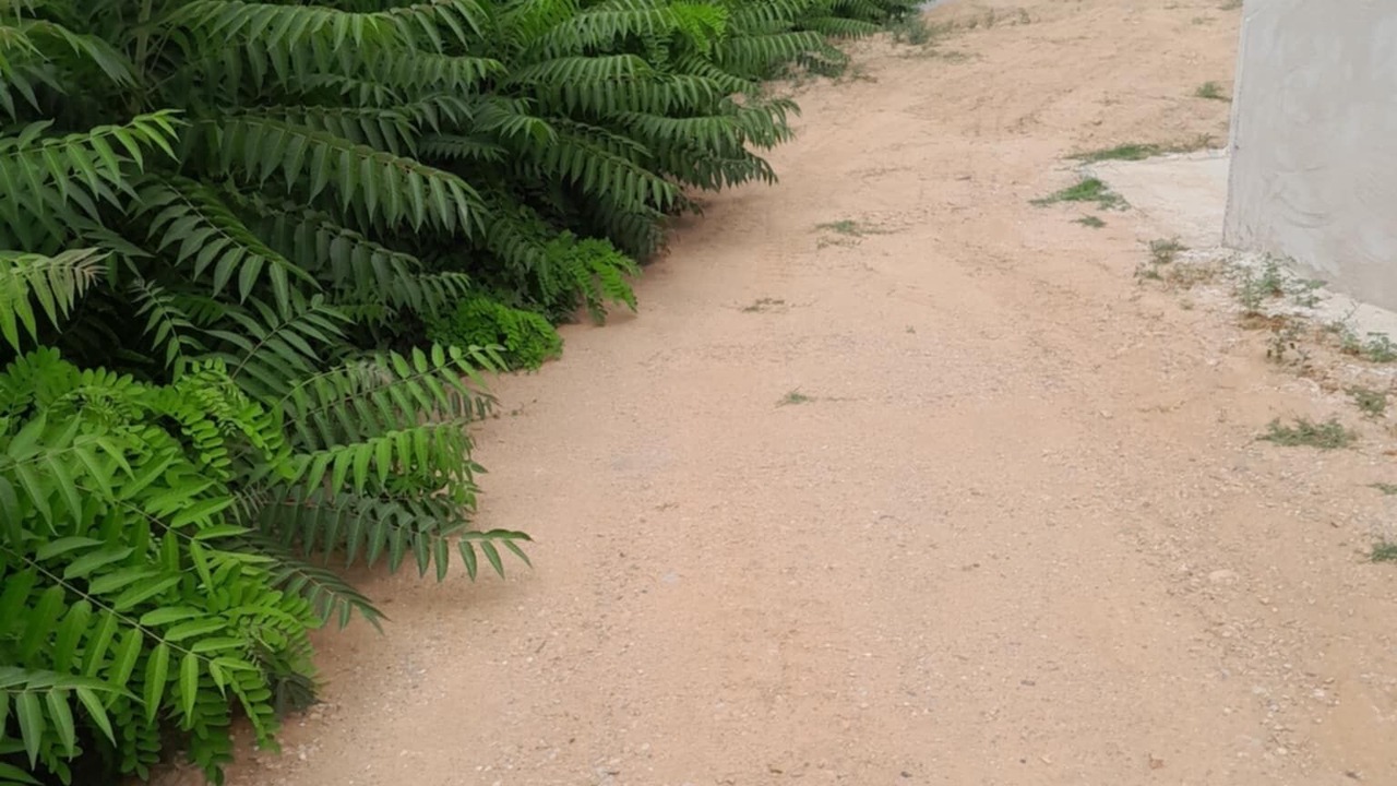 Photo of Others in Barbaira
