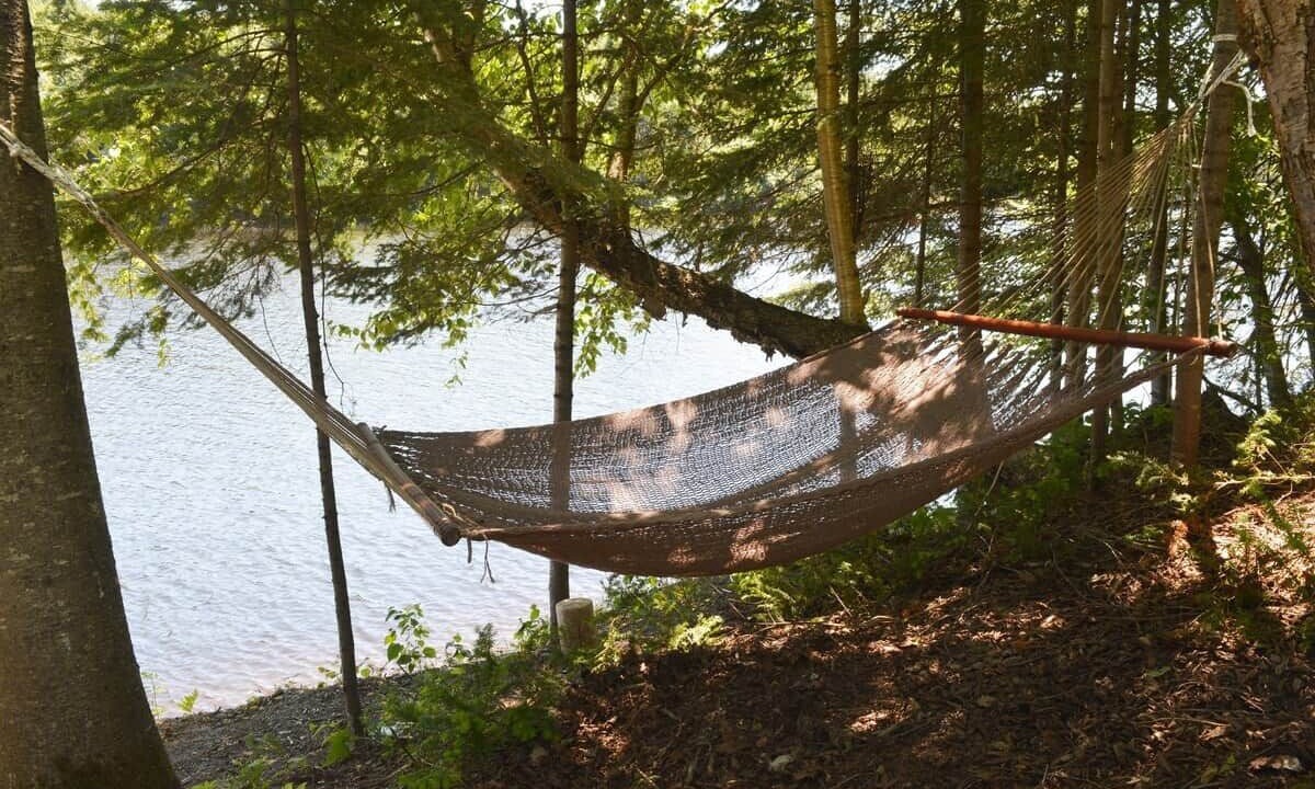 Photo of Others in Mauricie