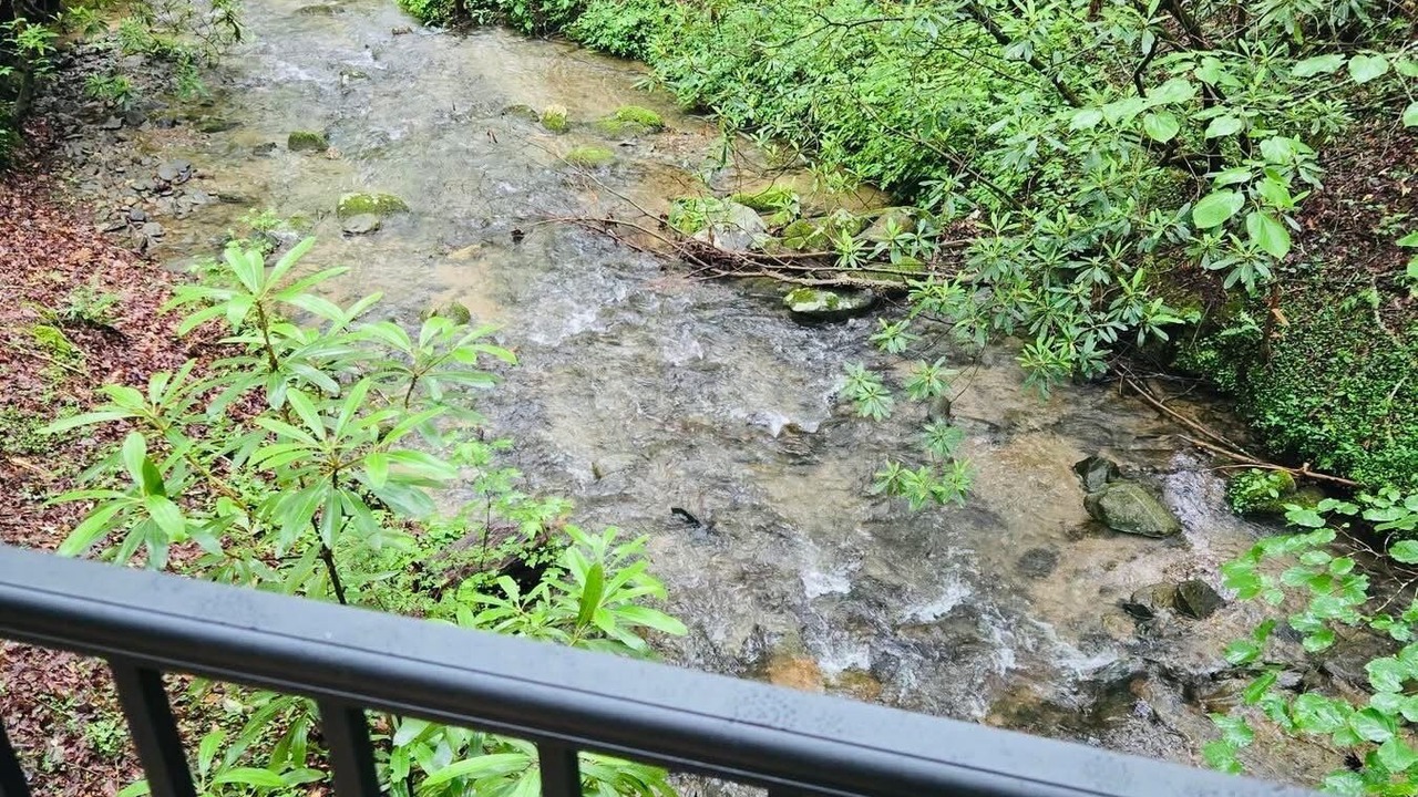 Photo of Outdoor in Ellijay