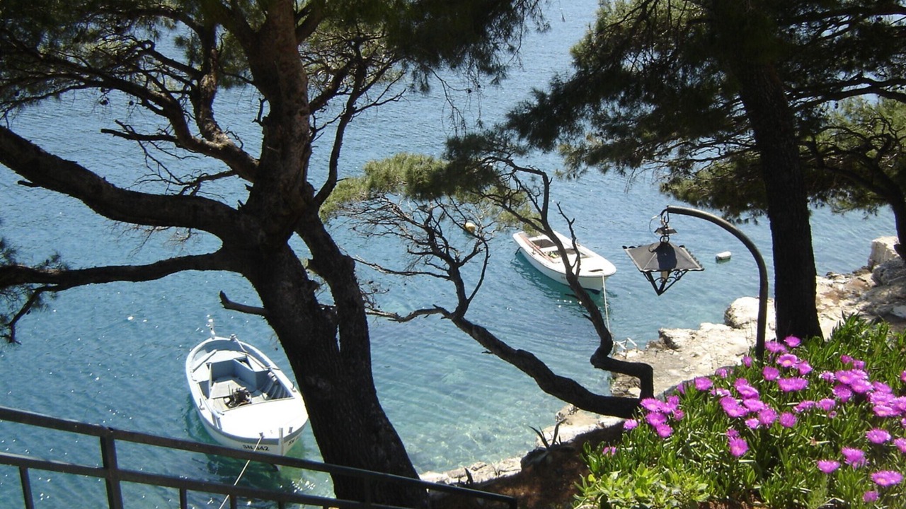 Photo of Others in Metohija