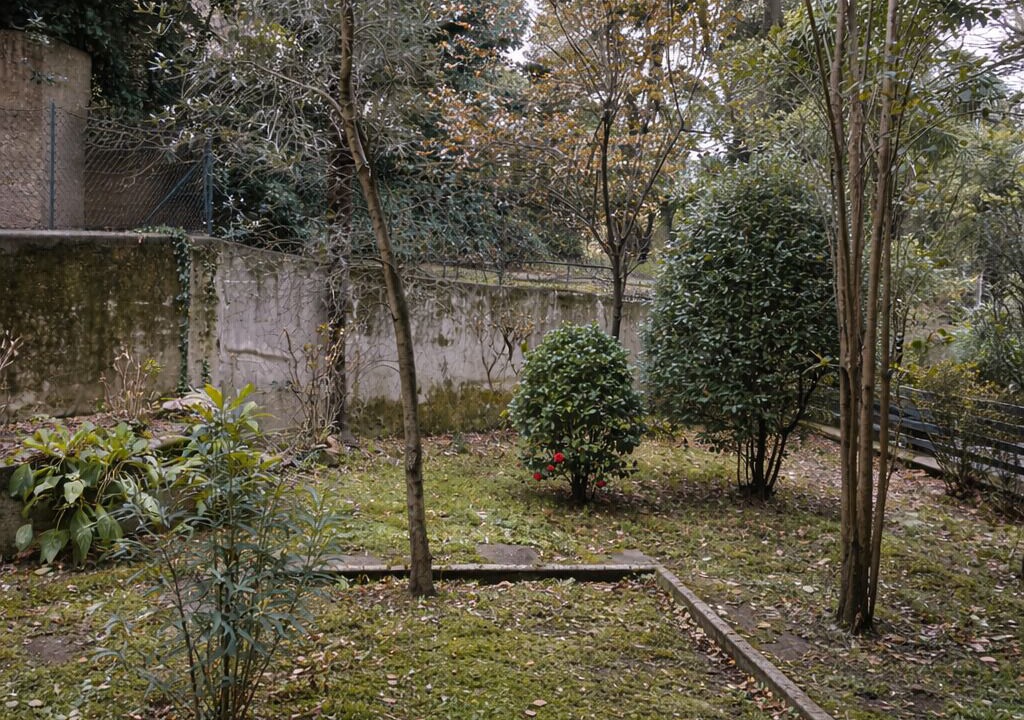 Photo of Outdoor in Paradiso