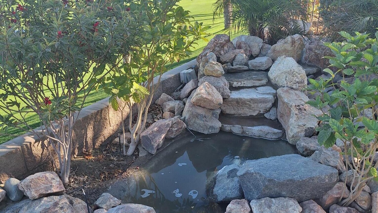 Photo of Outdoor in Desert Palms