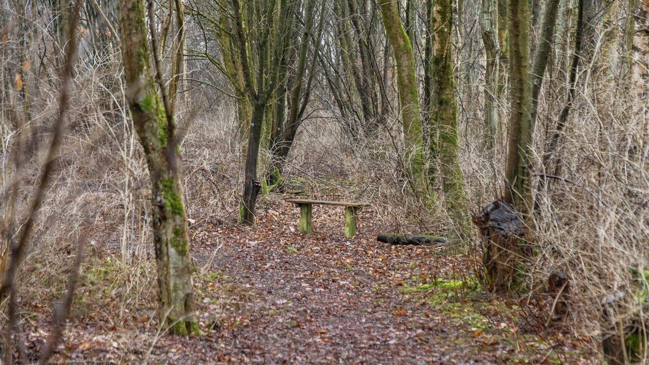 Photo of Others in Ronbjerg