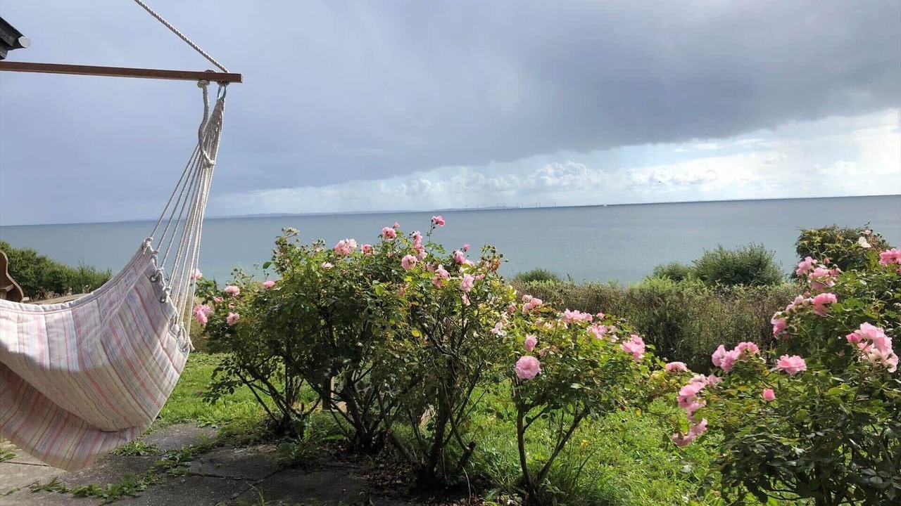 Photo of Outdoor in Saksild Strand