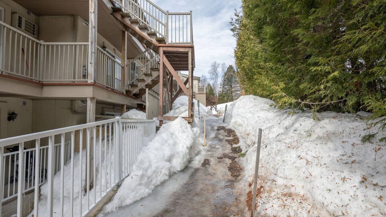 Photo of Outdoor in Piedmont