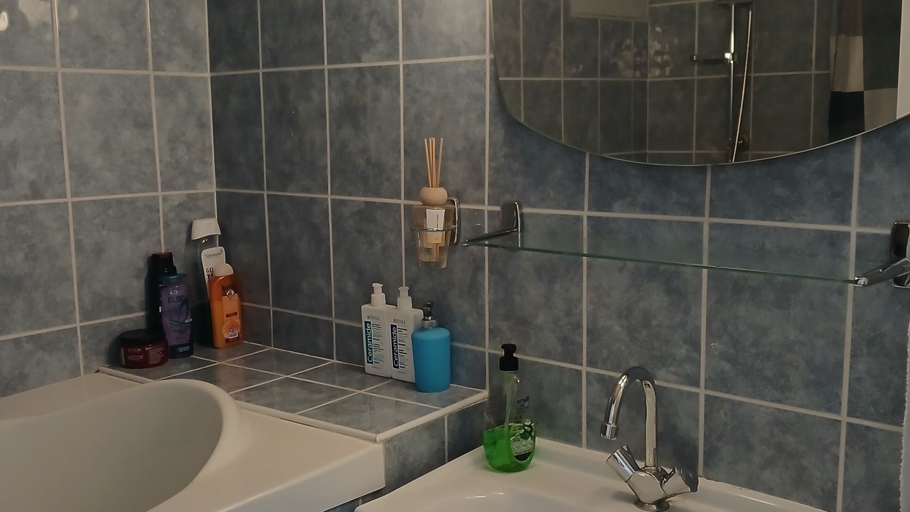 Photo of Bathroom in Le Kremlin-Bicetre