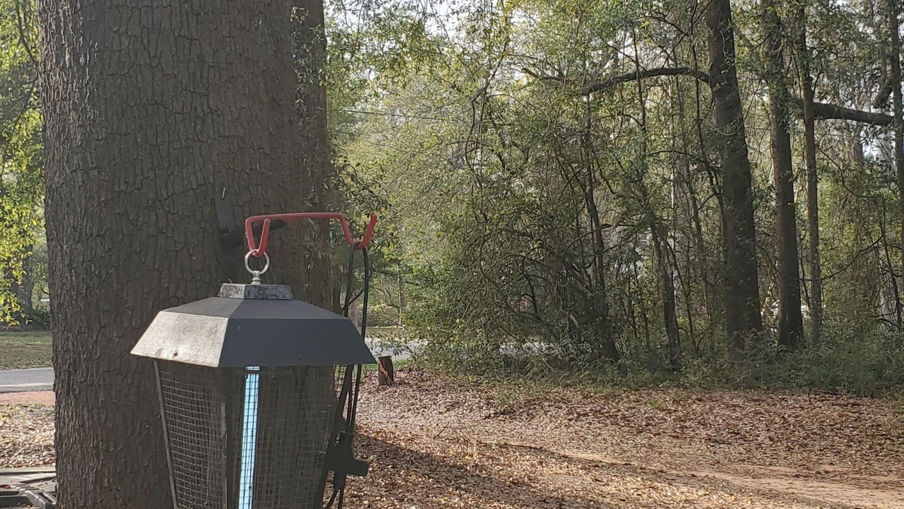 Photo of Outdoor in Mobile