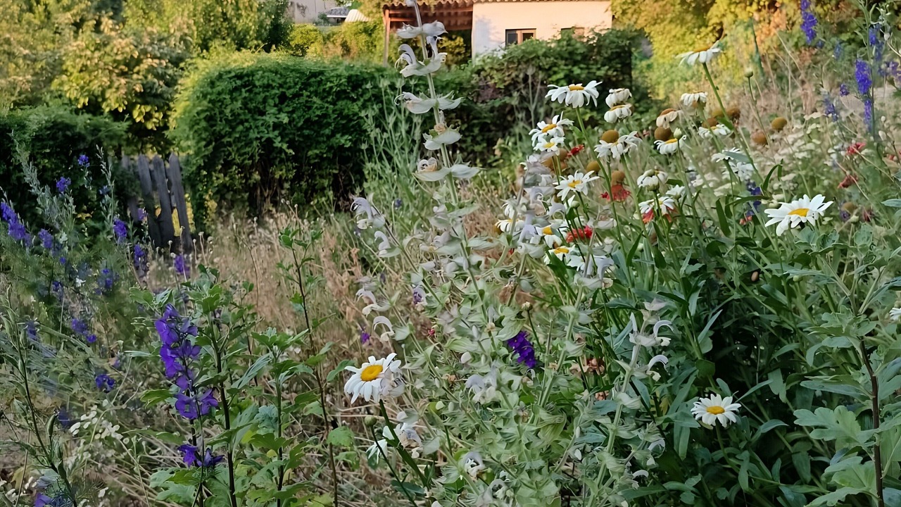 Photo of Outdoor in Saint-Jurs