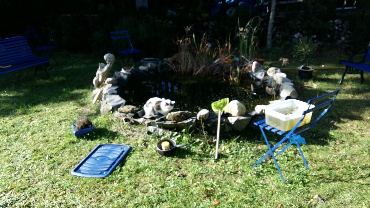 Photo of Outdoor in Sospel