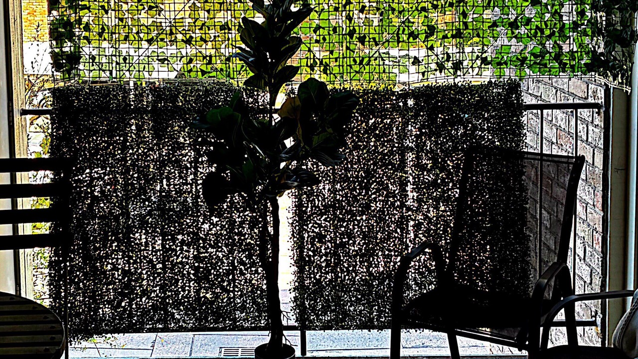 Photo of Patio Balcony in Astrodome