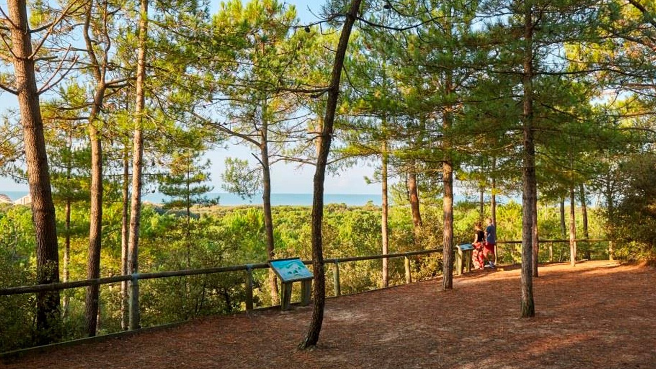 Photo of Others in Saint-Jean-de-Monts