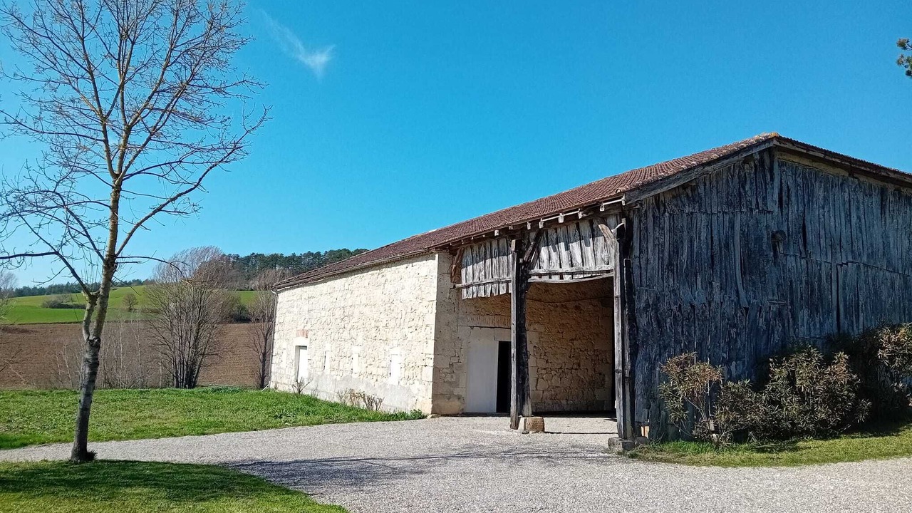 Photo of Outdoor in La Sauvetat-de-Saveres