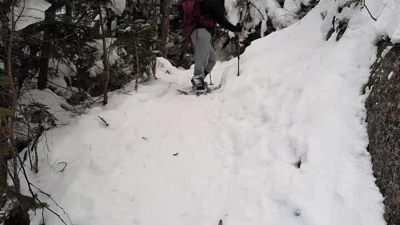 Photo of Others in Saint-Brigitte-de-Laval