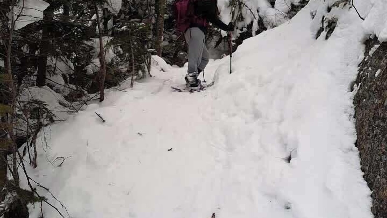 Photo of Others in Saint-Brigitte-de-Laval
