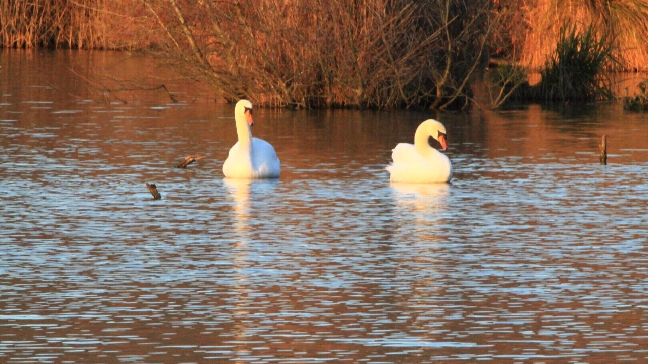 Photo of Others in Briord