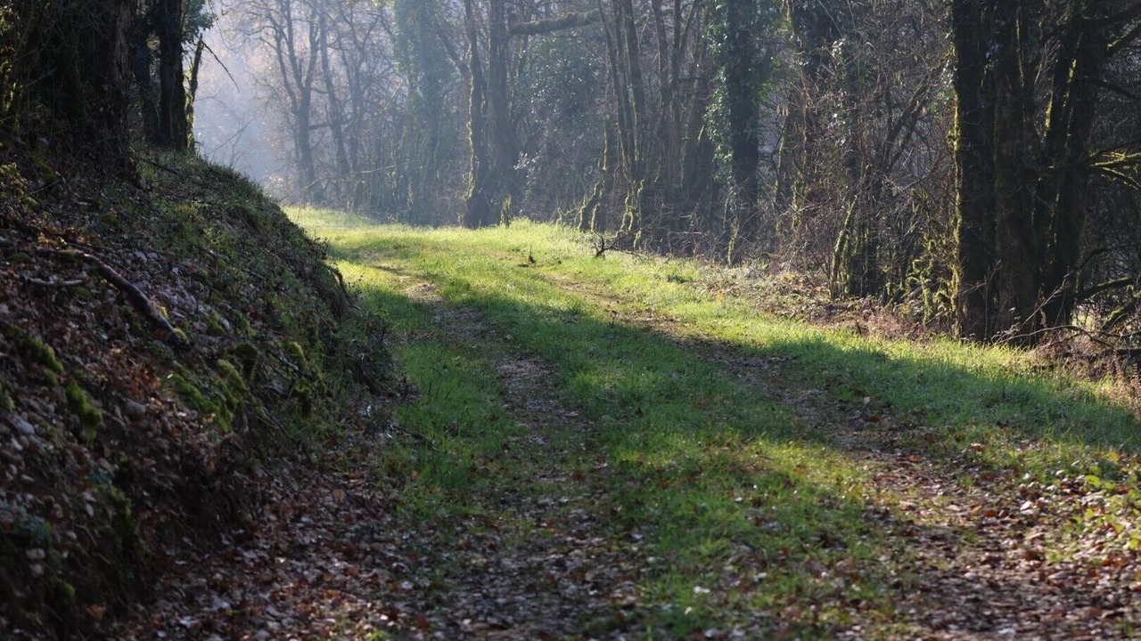 Photo of Others in Briord