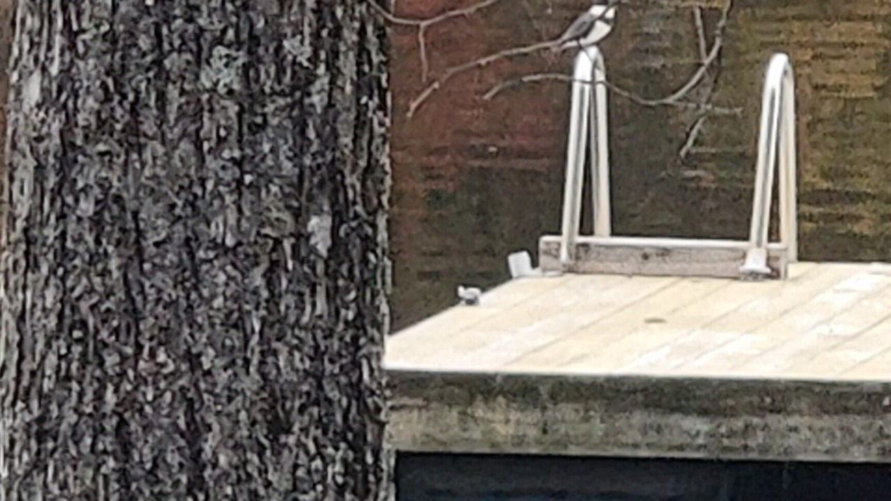 Photo of Others in North Attleboro