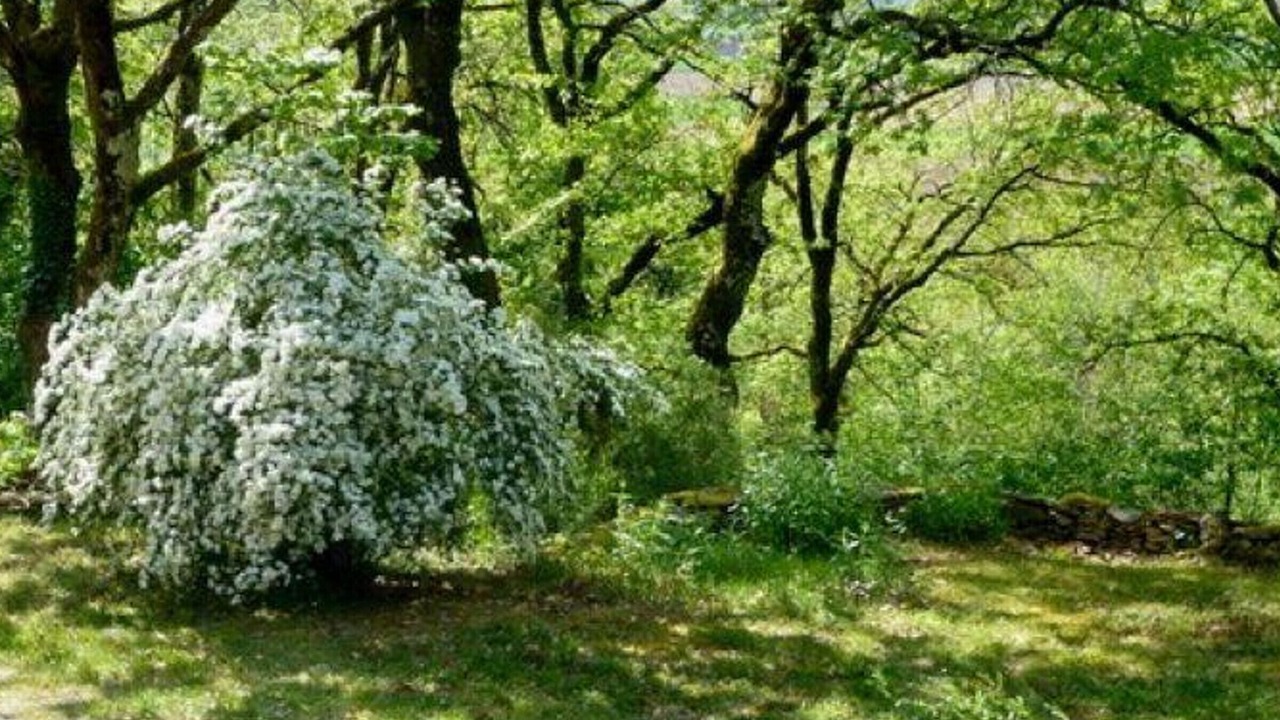 Photo of Outdoor in Aubas