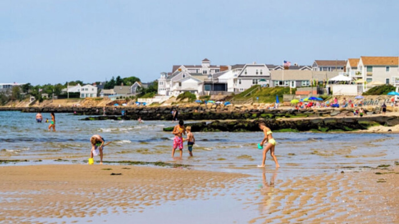 Photo of Others in West Harwich