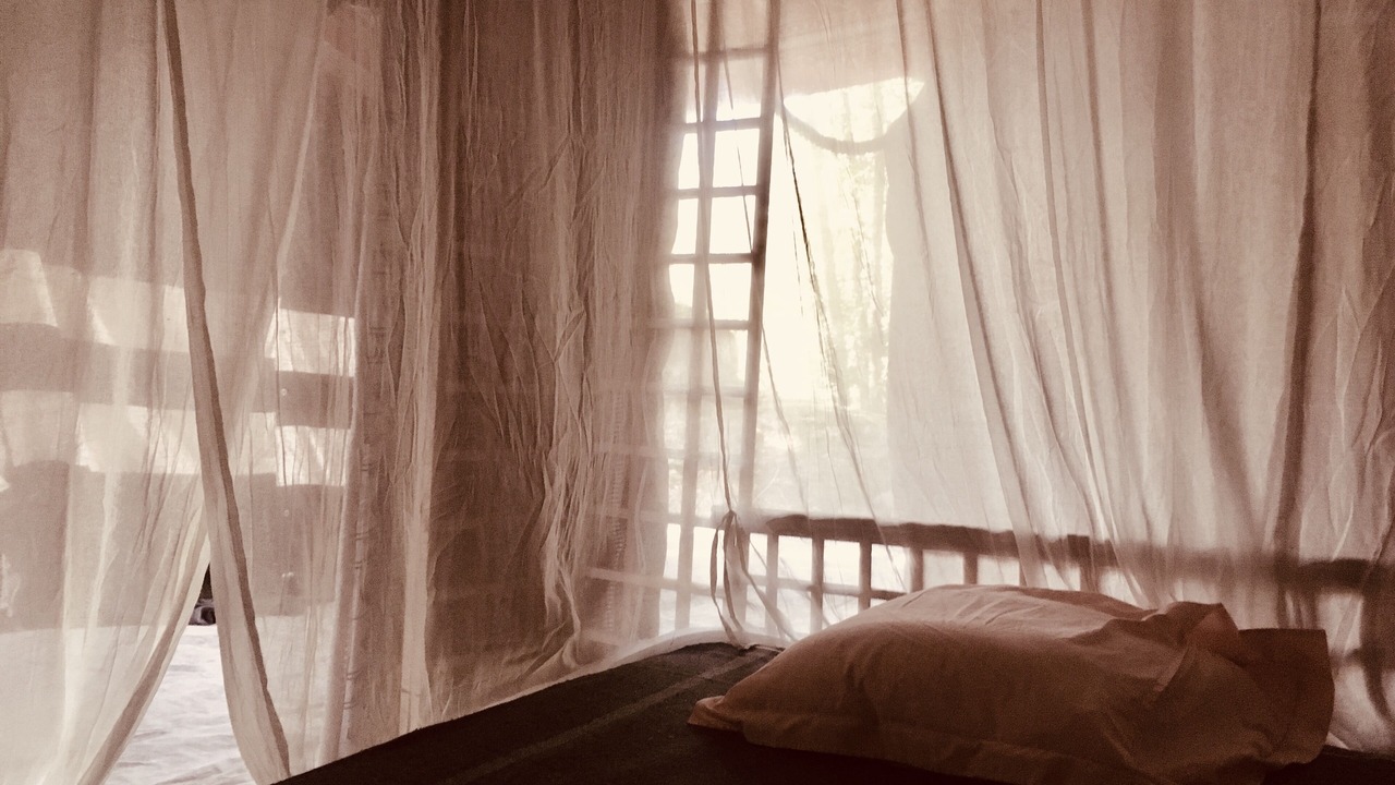 Photo of Bedroom in Dannemois