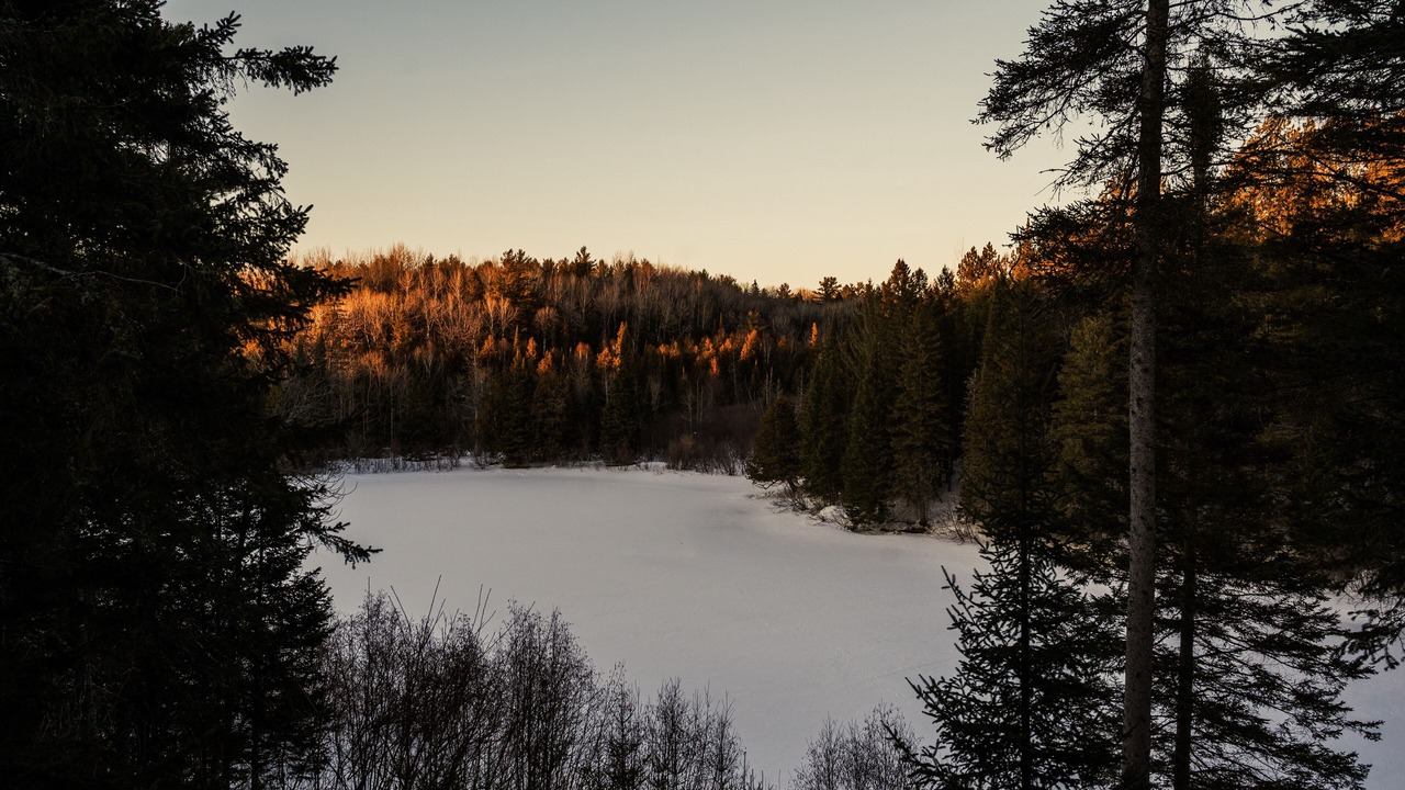 Photo of Others in Bancroft