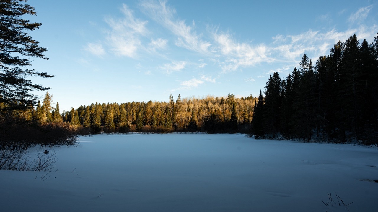 Photo of Others in Bancroft
