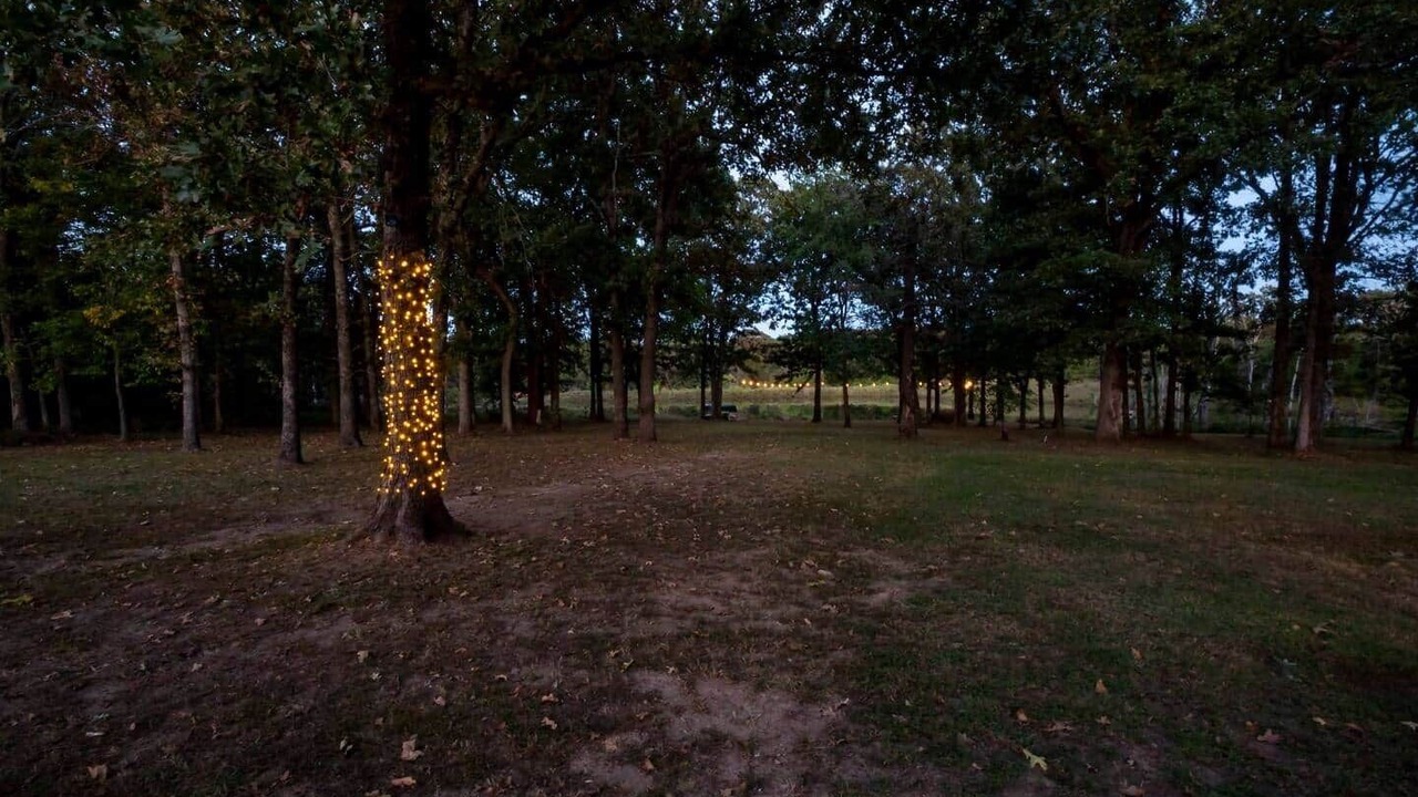 Photo of Others in Milfay