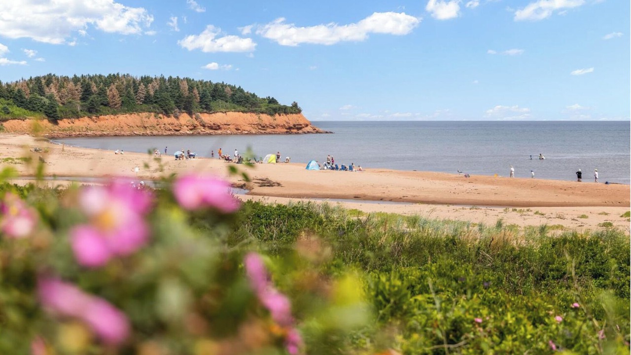 Photo of Others in North Rustico