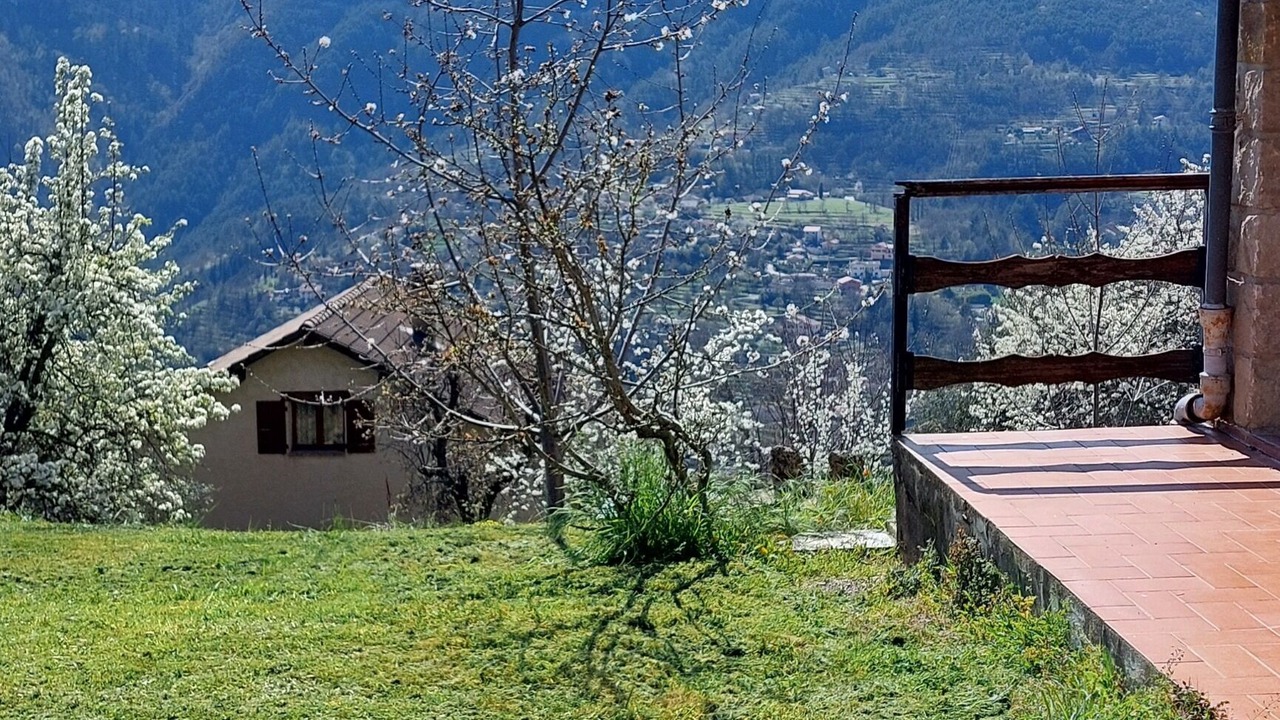 Photo of Outdoor in Belvedere