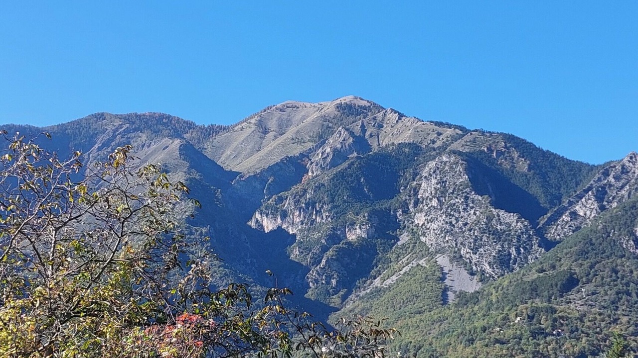 Photo of Others in Belvedere