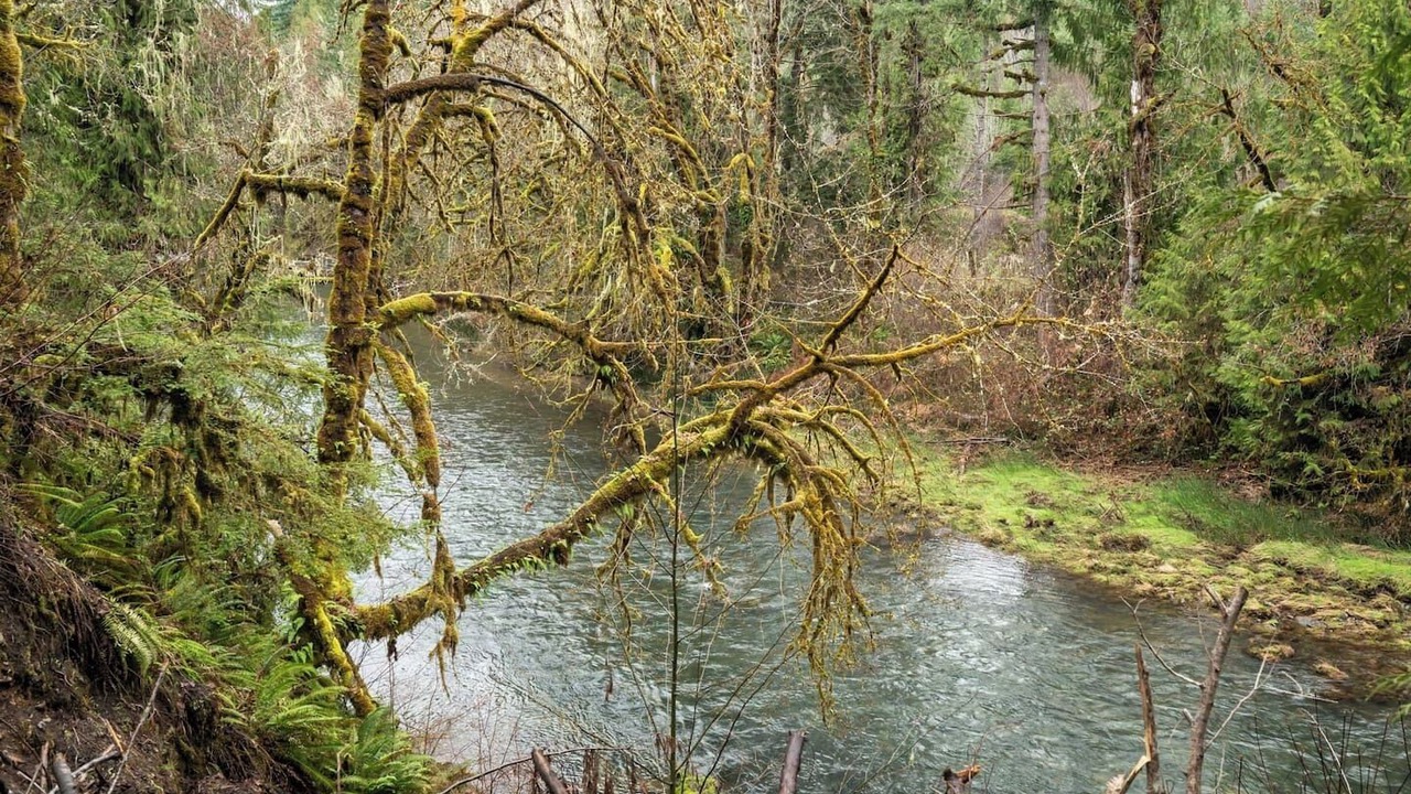 Photo of Others in Fall Creek