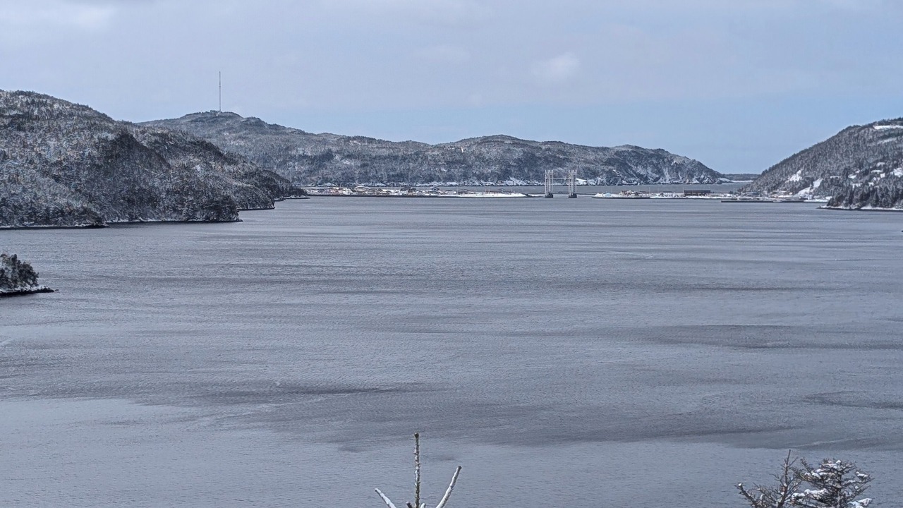 Photo of Others in Placentia