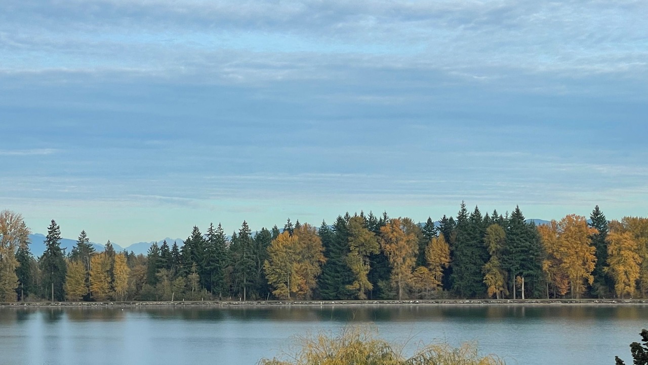 Photo of Others in Bonney Lake