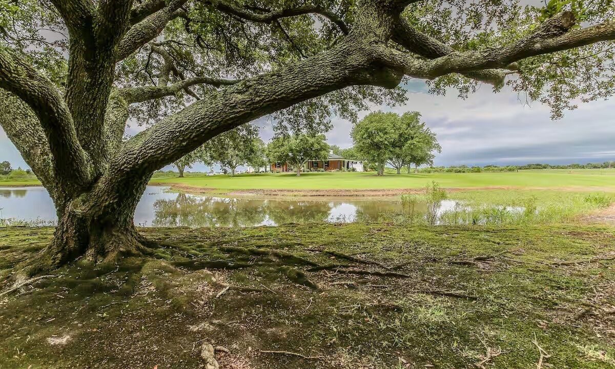 Photo of Others in Lake Charles